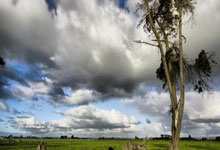 雷火电竞入口-内马尔点燃！圣殿狂欢夜诠释足球信仰