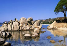 雷火电竞登录-金色眼泪沸腾时：当勇士梦断奥运，球迷的呐喊震碎星空