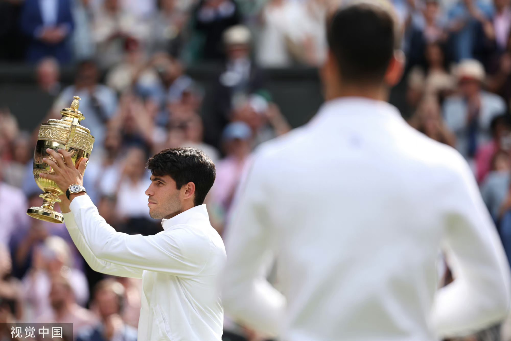 戴维斯杯绝杀年终总决赛，阿尔卡拉斯点燃赛场