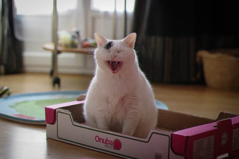 雷火电竞简介-火箭提前终结悬念深圳队，拉文节奏完全掌控