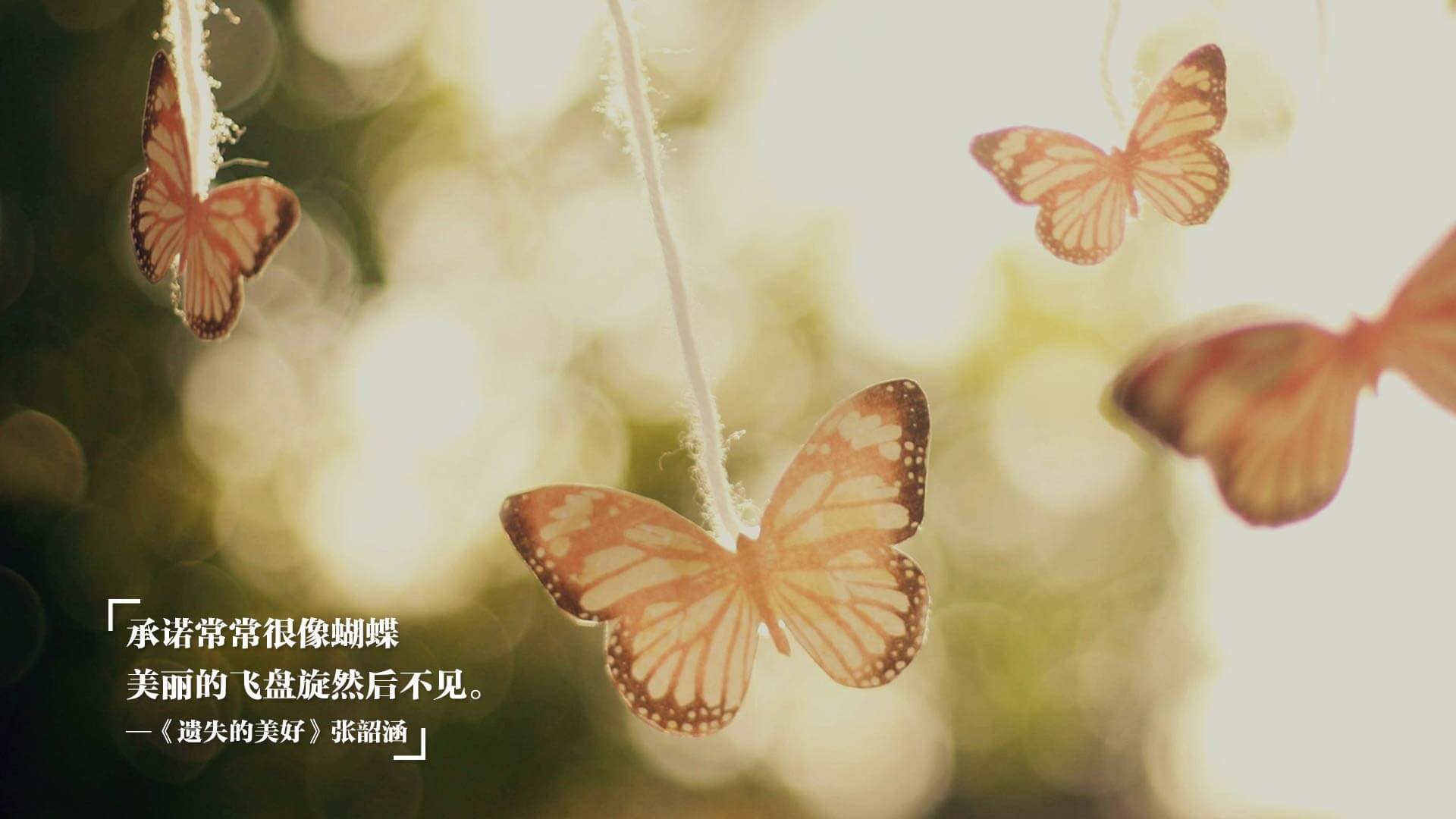 疆界,当广东鏖战火箭时,布伦森在绿茵场上重划世界排名的边界