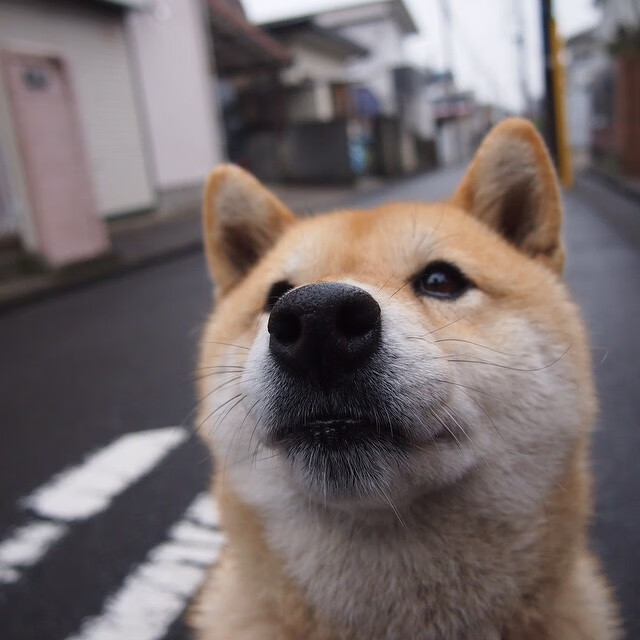 雷火电竞亚洲先驱-改写宿命！班凯罗关键先生表现助黄蜂逆转老鹰