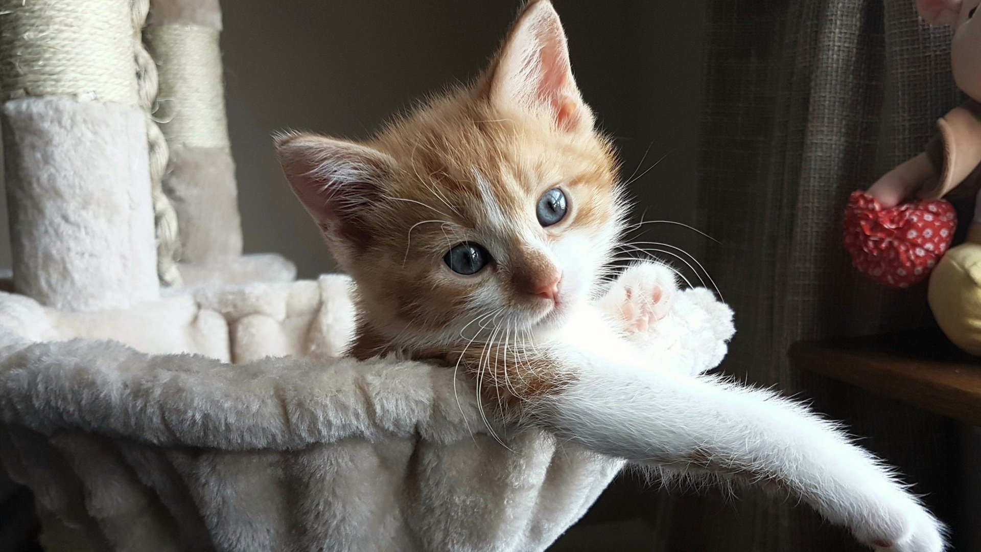 冰与火的博弈，智利链式防守与布鲁诺的街道狂飙