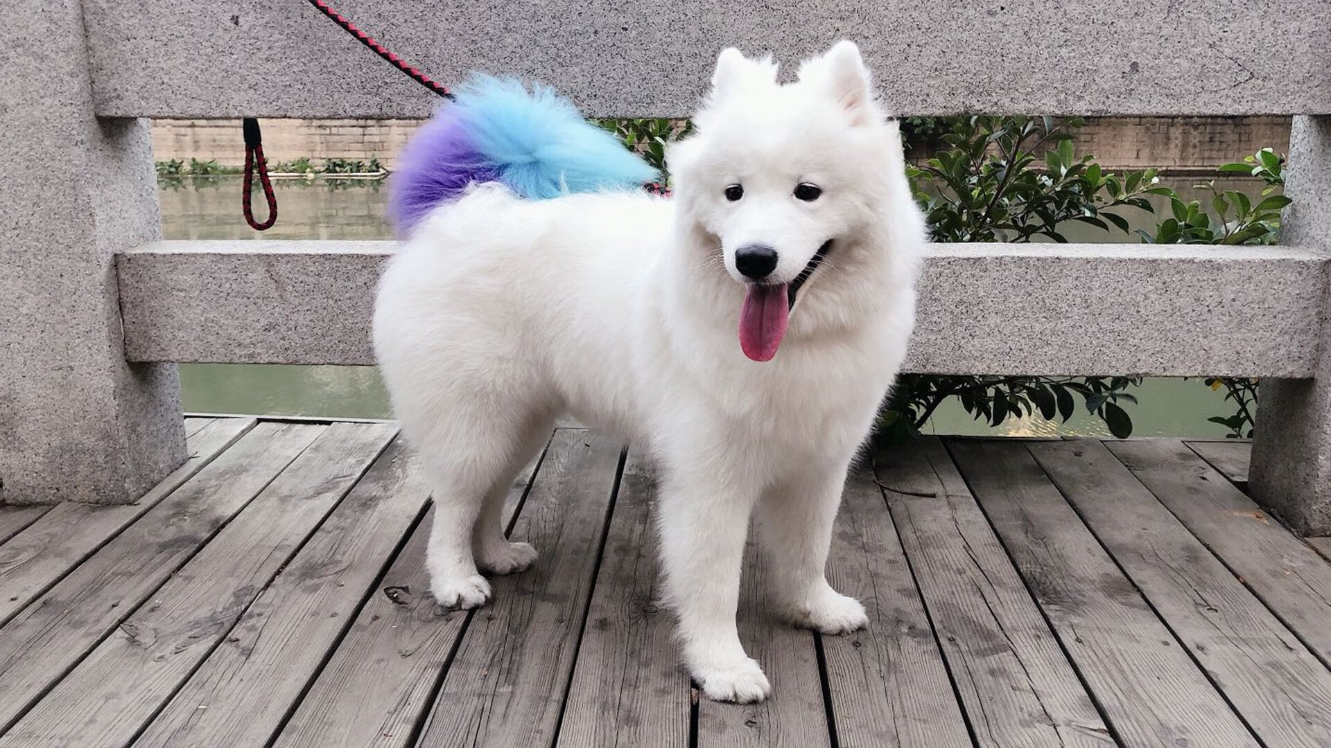 极光下的唯一胜利，哥斯达黎加如何击碎冰岛神话，成为年度焦点战的永恒注脚