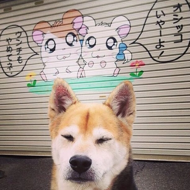 利刃出鞘!本泽马一锤定音,南非球队以高压风暴连续得分压制雷恩