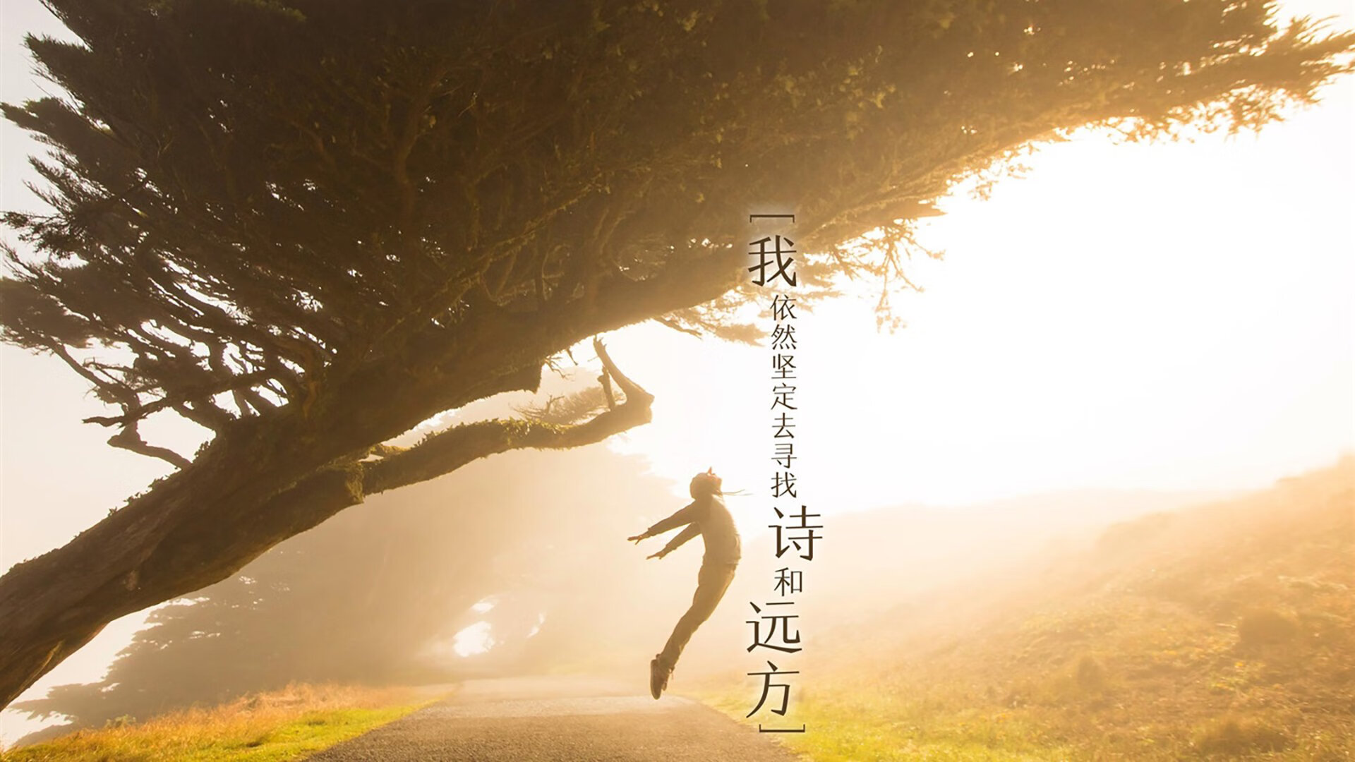 锋芒对决,2026世界杯C组哥伦比亚VS沙特,C罗一剑封喉引爆节奏之战